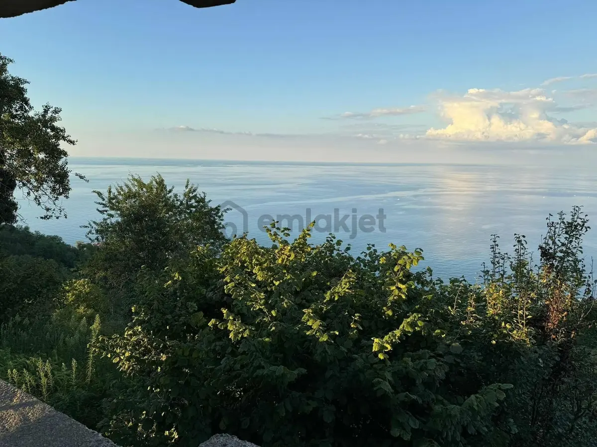 5.585 M2 Satılık Fındık Bahçesi / Arsa - 5