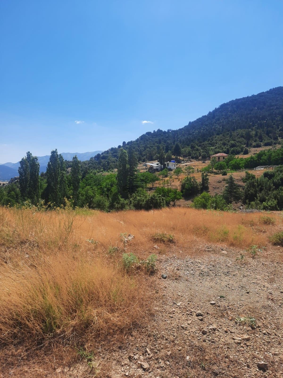 Seydikemer Y. Ceylan 6419 M2 Arazi - 10