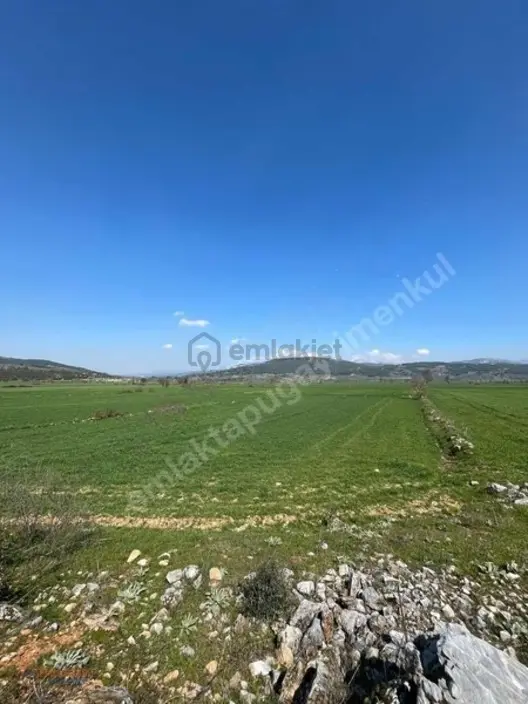 Muğla Menteşe Kafaca Mah. 6271 M2 Tarla - 3