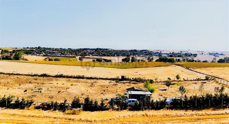 Muratlı Balanlı'da İmara 450metre Mesafede 4545m2 Tarla - 15