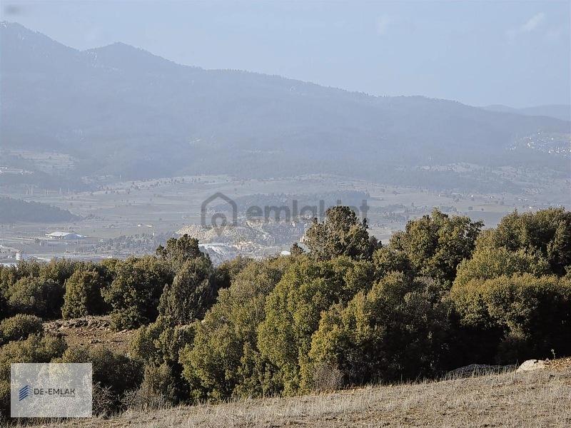 Seydikemer De Müstakil Tapulu Satılık Tarla - 20