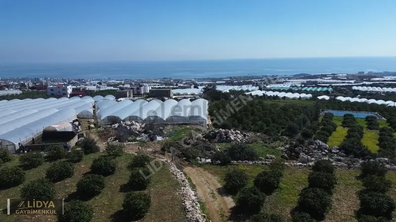 1,400 M2 Tarla Deniz Şehir Doğa Manzaralı - 6