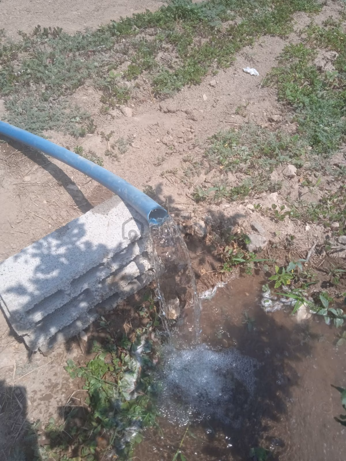 Satılık Tarla Bahçe Ev Ağaçlar - 3