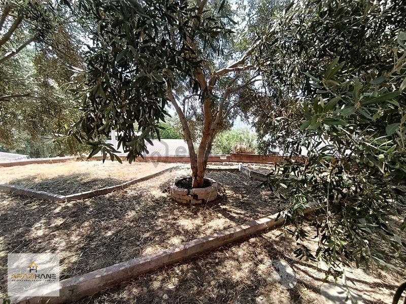 Milas Baharlı Mahallesi Satılık 4 Katlı Ev Ve Arsası - 33