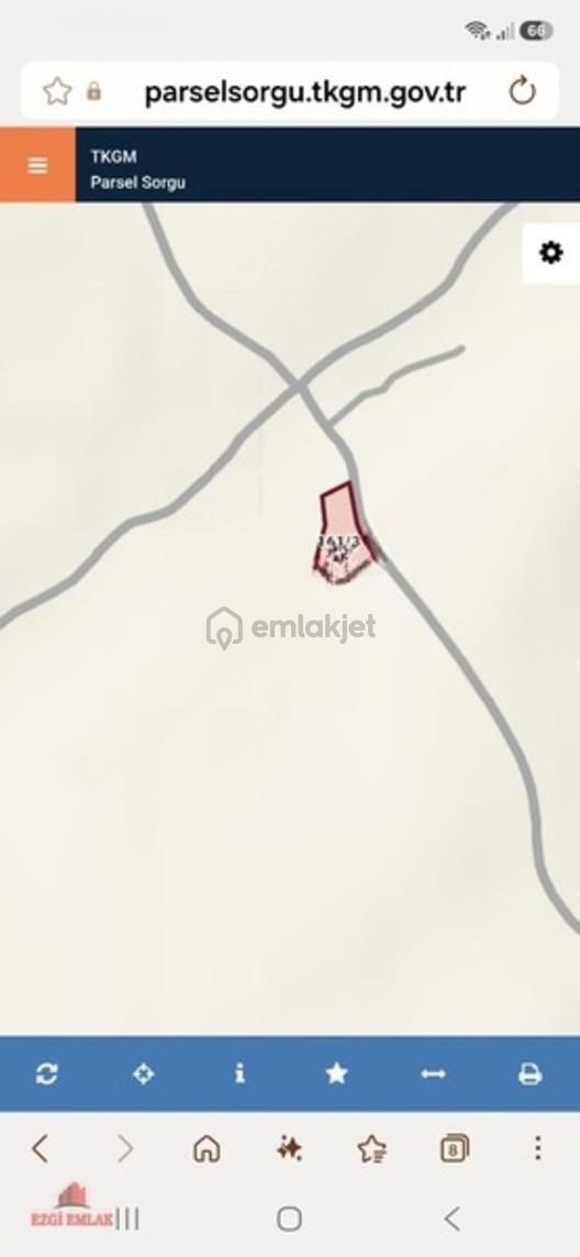 Arılda Satılık Fıstıklık - 7