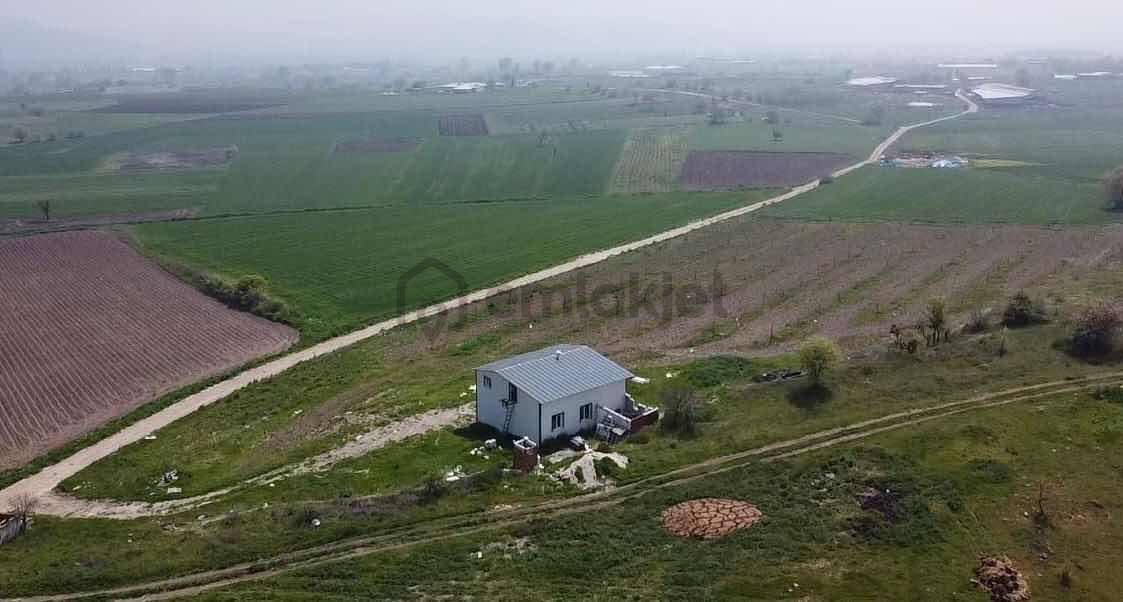 Pamukçu'da Satılık Cevizlik - 10