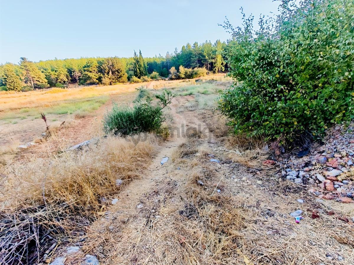 Muğla Menteşe Kıran Mahallesinde Tiny Hause'ye Uygun Tarla... - 10