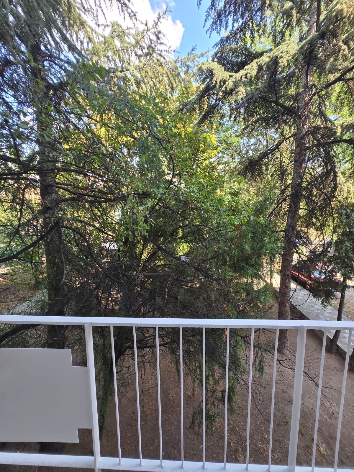 Örnek Emlaktan Kiralık Daire - 9