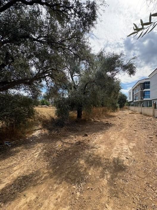 My - Hacıabdi Mah 410 M2 Satılık Tarla - 6