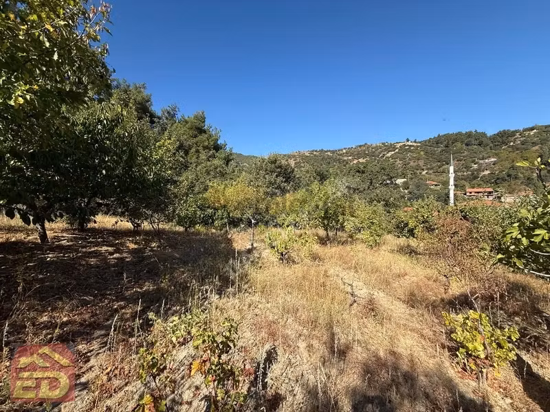 Dacğı Emlak Buldan Çaybaşı Mah Satılık 1791 M2 Bahçe İçinde Ev - 10