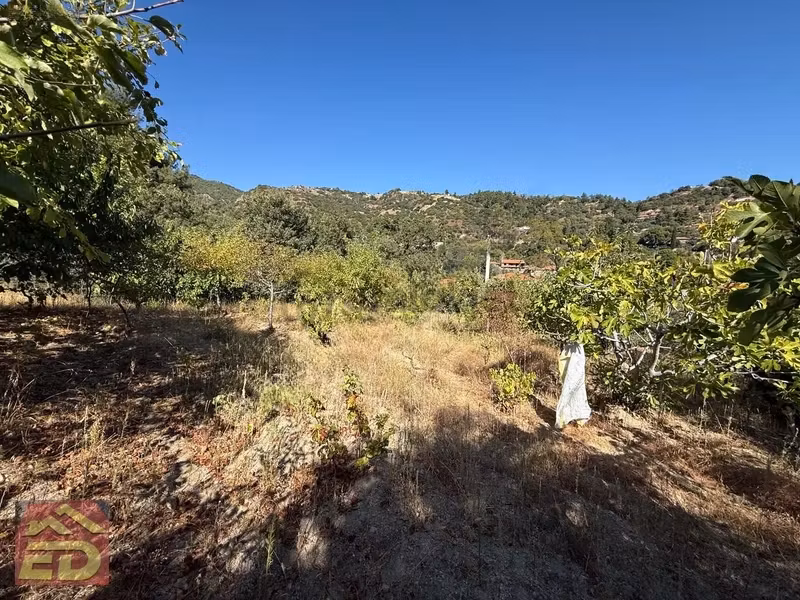 Dacğı Emlak Buldan Çaybaşı Mah Satılık 1791 M2 Bahçe İçinde Ev - 9