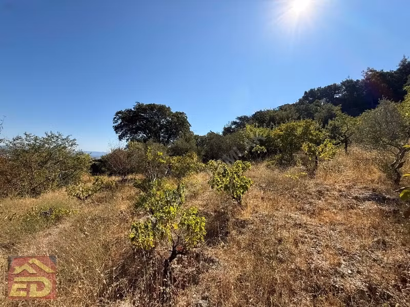 Dacğı Emlak Buldan Çaybaşı Mah Satılık 1791 M2 Bahçe İçinde Ev - 13