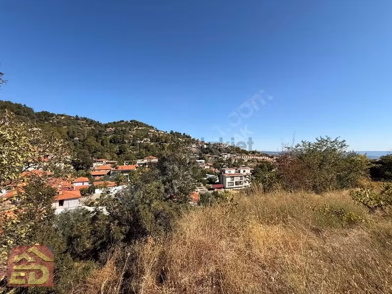 Dacğı Emlak Buldan Çaybaşı Mah Satılık 1791 M2 Bahçe İçinde Ev - 14