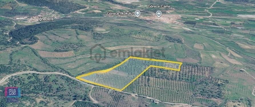 Menemen İğnedere'de Satılık Tarla - 3
