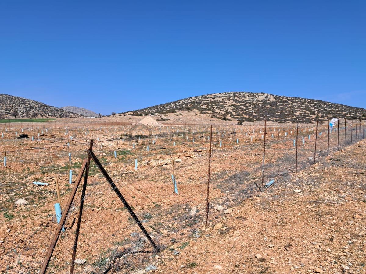 Korkuteli Çaykenarı’nda 6.475 M² Satılık Tarla - 4