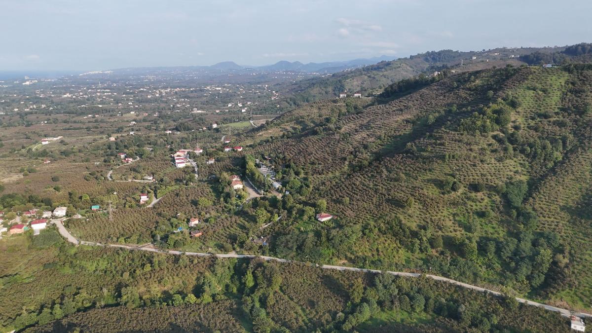 Lerox Uçar'dan Sakarlı/çağlayan'da Satılık Tarla Ve Ev - 5