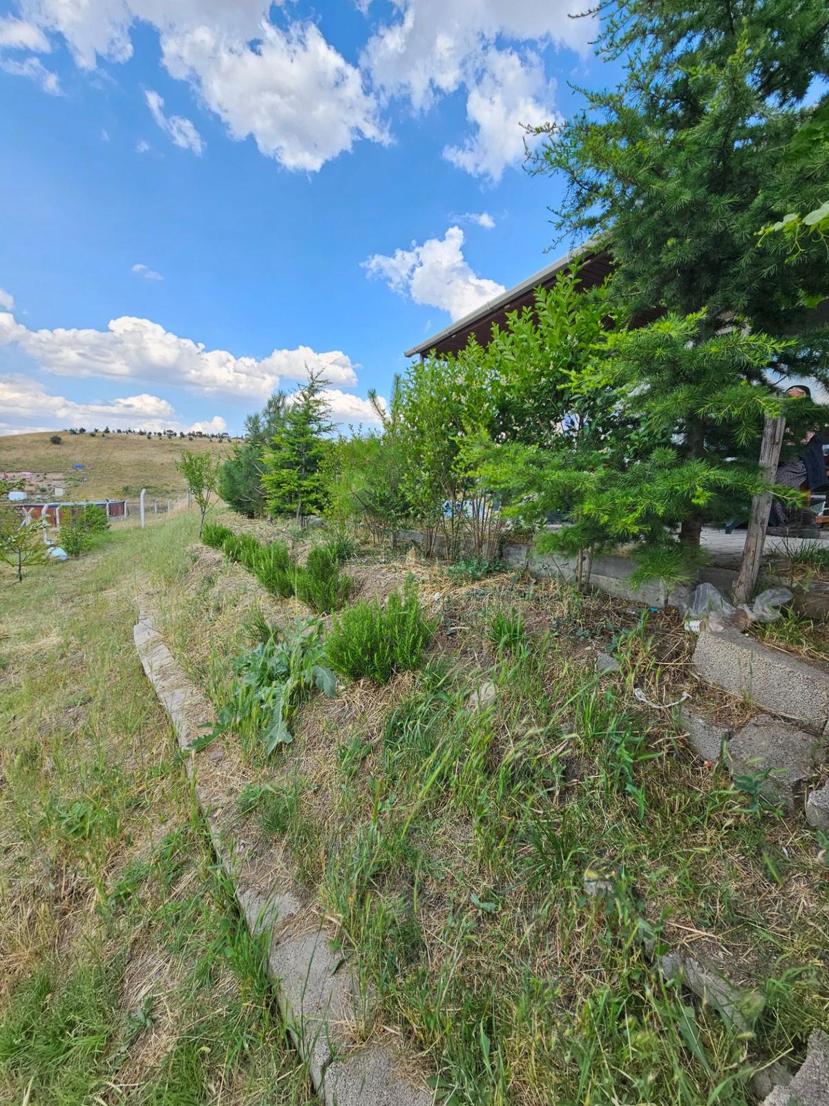Sahibinden Polisak Ademisi Yanı Satılık Bahçe - 14