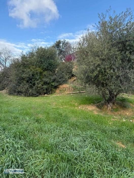 Muğla Ören Alatepe - 6