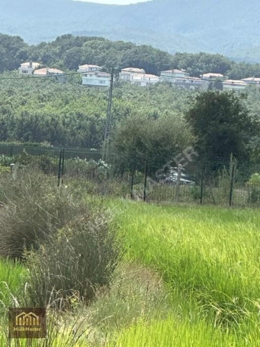 Çatalca Karacaköy Satılık 400 Metre² Çaplı Hisse - 4