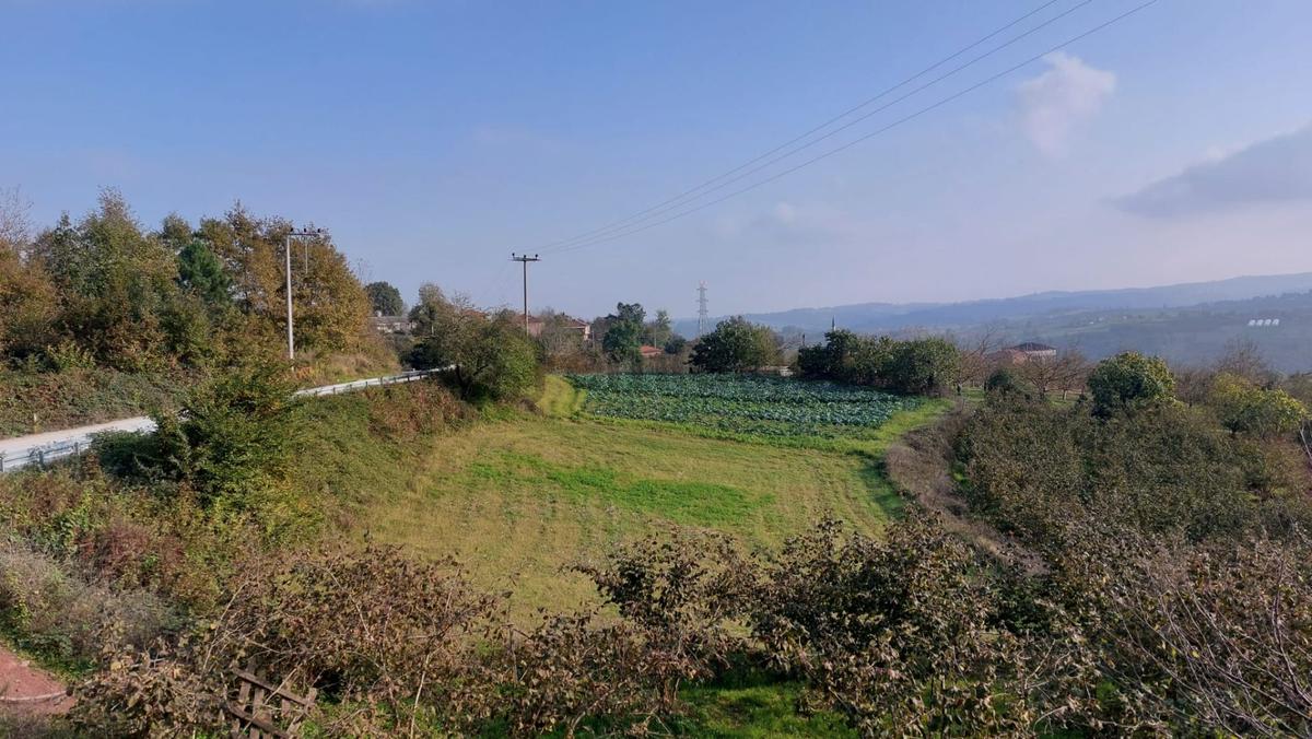 Sahibinden Yol Kenarı Müstakil Tapu