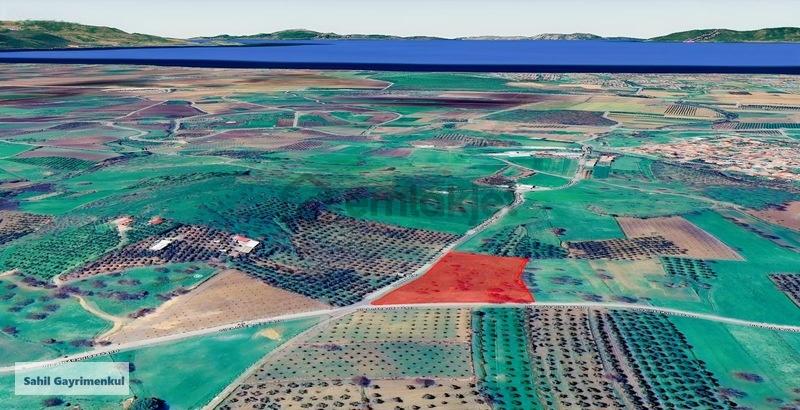 Dikili Kratlıda Full Deniz Manzaralı Tarla - 9