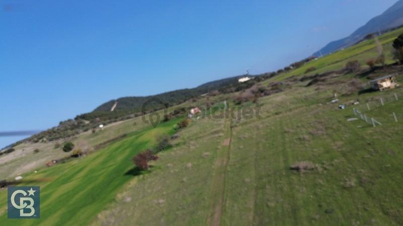 Şehitkemalde 273m2 Satılık Etrafı Çevirili Tarla - 15