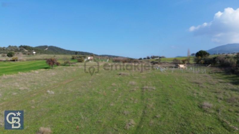 Şehitkemalde 273m2 Satılık Etrafı Çevirili Tarla - 11