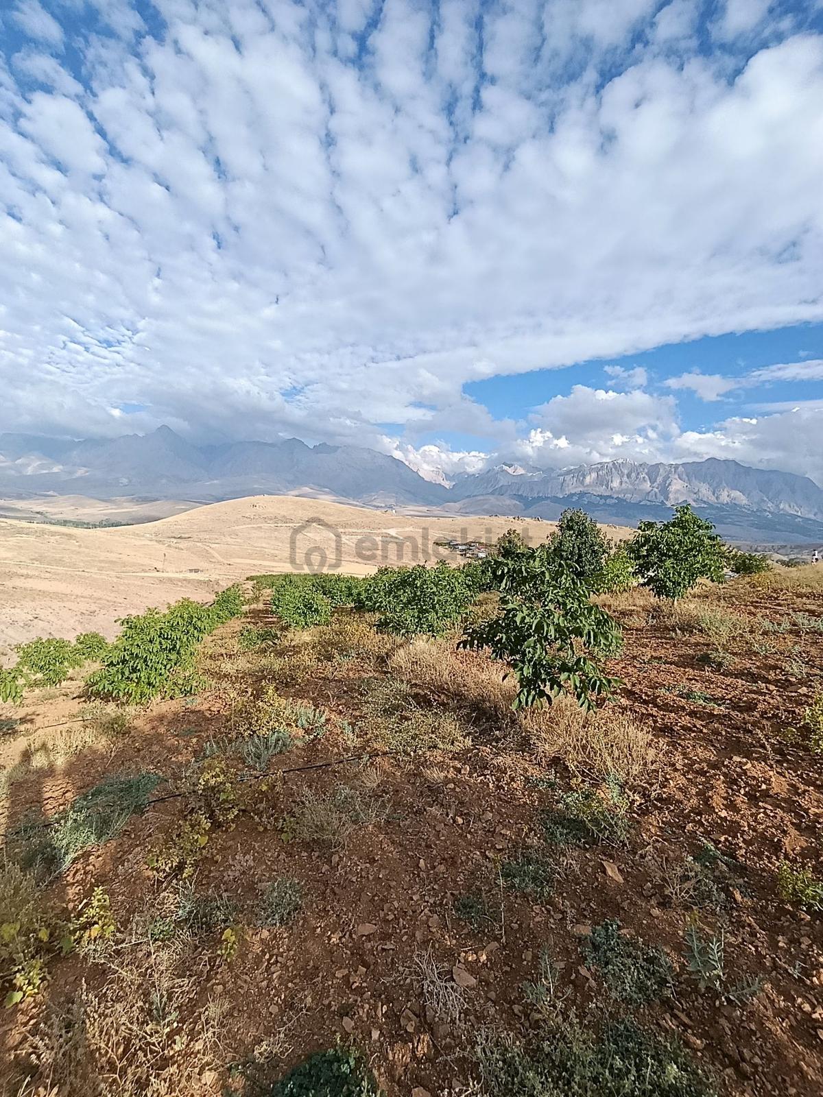 Burç'ta Yerleşime Yakın Kurulu Bahçe - 16