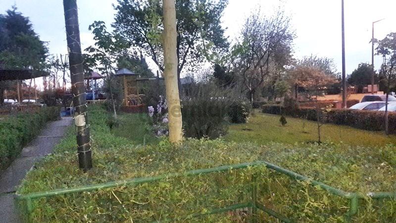Atakent 2.etap 1+1 Net 50 M2 Kiralık Temiz Daire - 18