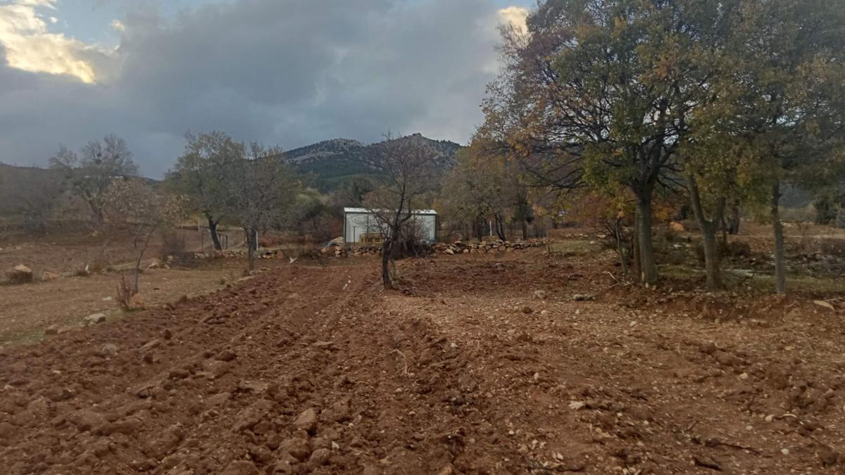 Kevzer Mahallesi'nde Doğa Manzaralı 370 M² Satılık Tarla - 6