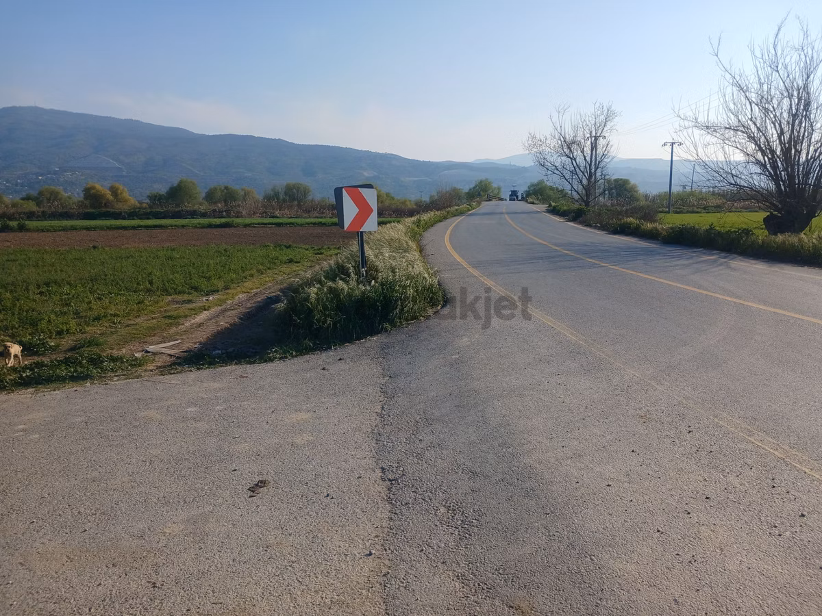 Era'dan Aydın Umurlu Armutlu Yolunda Satılık Tarla - 7