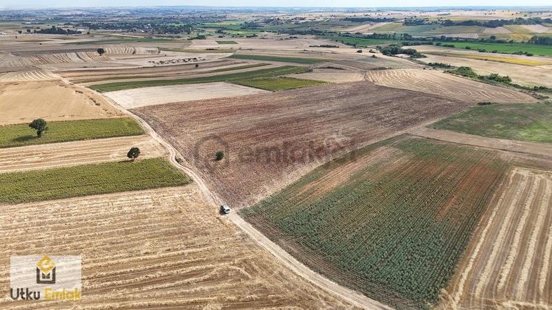 Babaeski Çiğdemli De 46141 M2 Satılık Tarla - 35