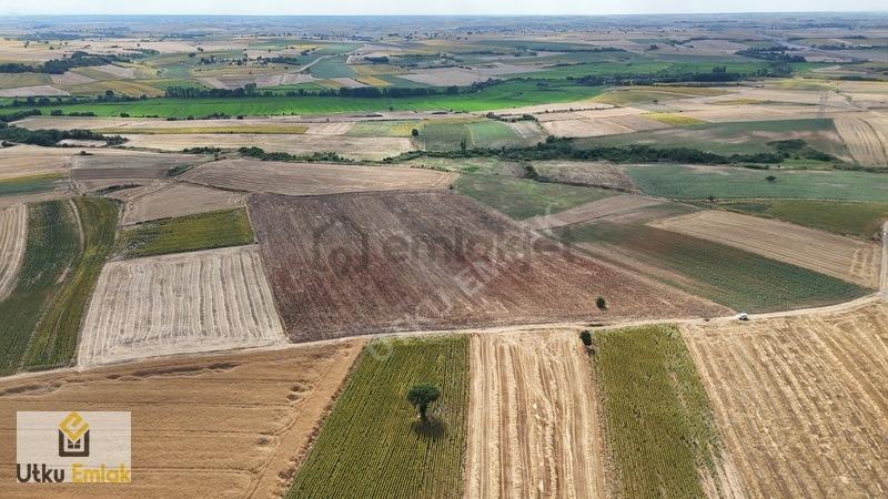 Babaeski Çiğdemli De 46141 M2 Satılık Tarla - 31