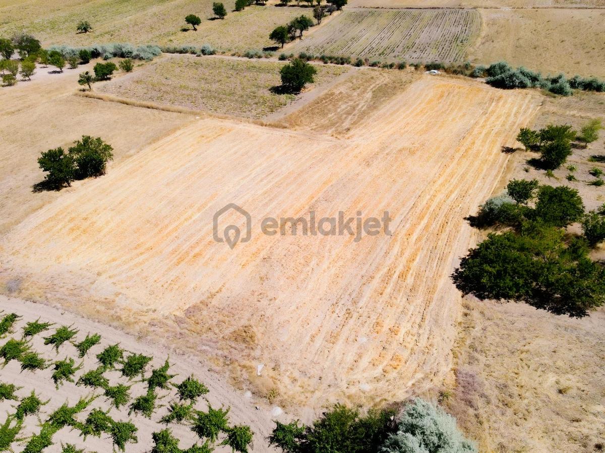 Şanlıbaba Emlak'tan Boğaz'da Satılık Tarla - 2
