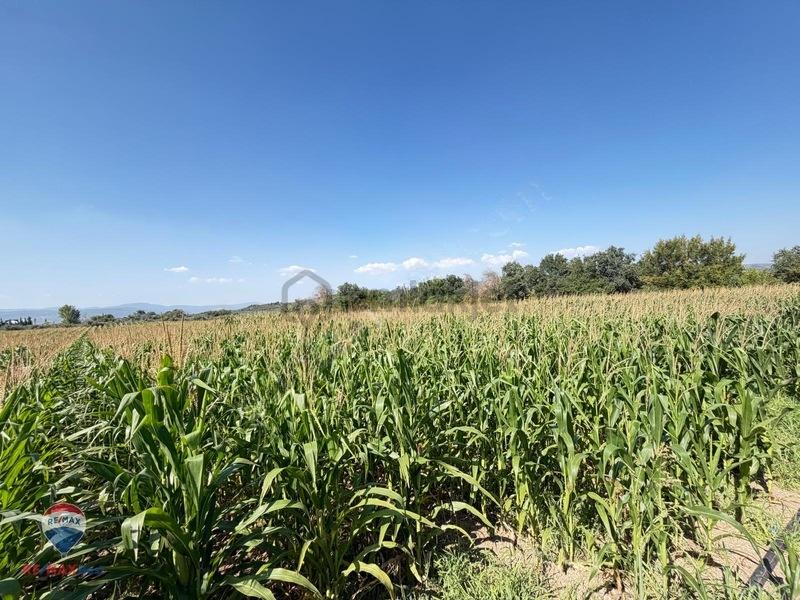 13 Manisa Kırkağaçta 3.600 M² Satılık Tarla - 17