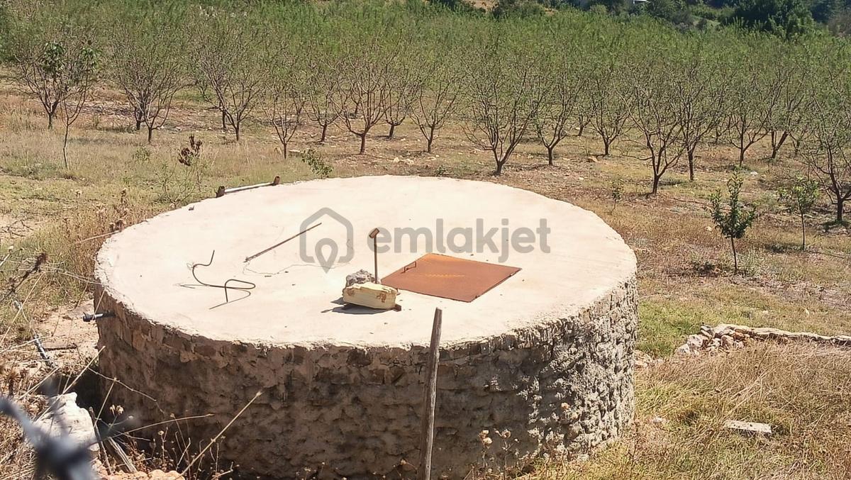 Karabucak'ta Satılık Muhteşem Badem Bahçesi + 2 Katlı Ev - 8