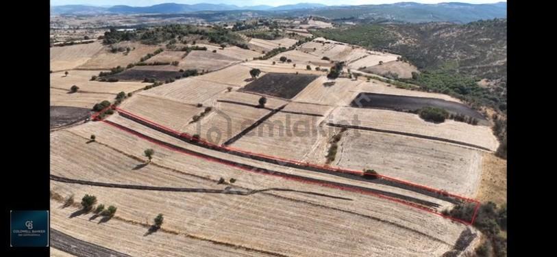 Balıkesir / Altıeylül / Cinge'de Satılık 6587 M² Tarla - 8