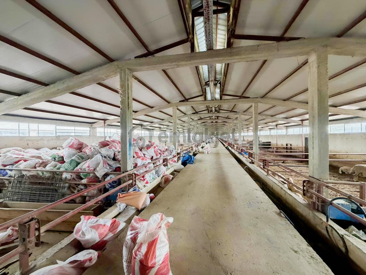 21.000m2 1500 Büyük Baş Kapasiteli Satılık Çiftlik - 34
