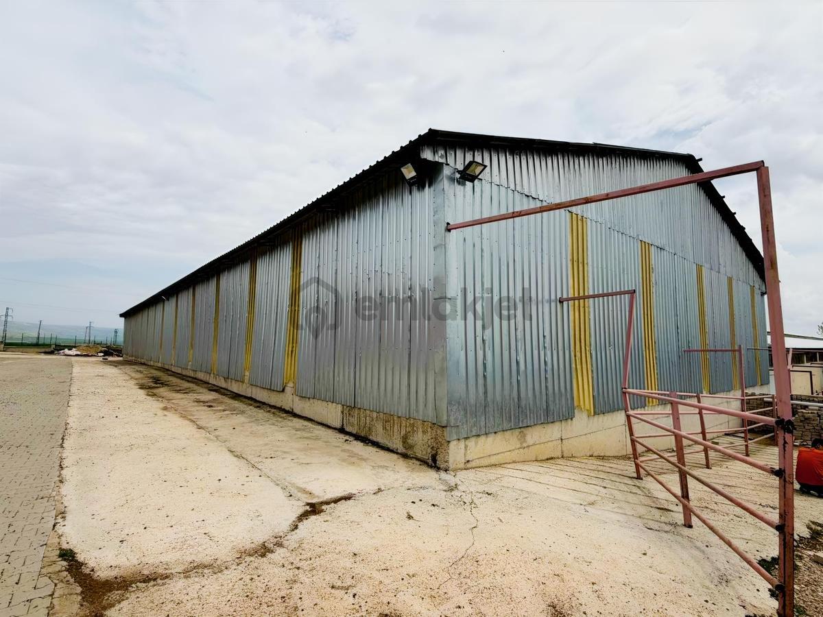 21.000m2 1500 Büyük Baş Kapasiteli Satılık Çiftlik - 11