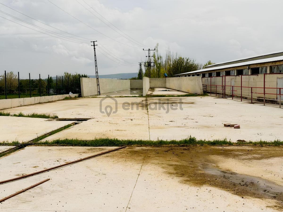 21.000m2 1500 Büyük Baş Kapasiteli Satılık Çiftlik - 19