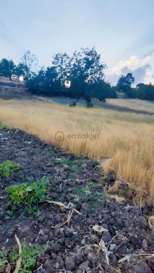 Müstakil Evinizi Yapın Dev Arsa - 3