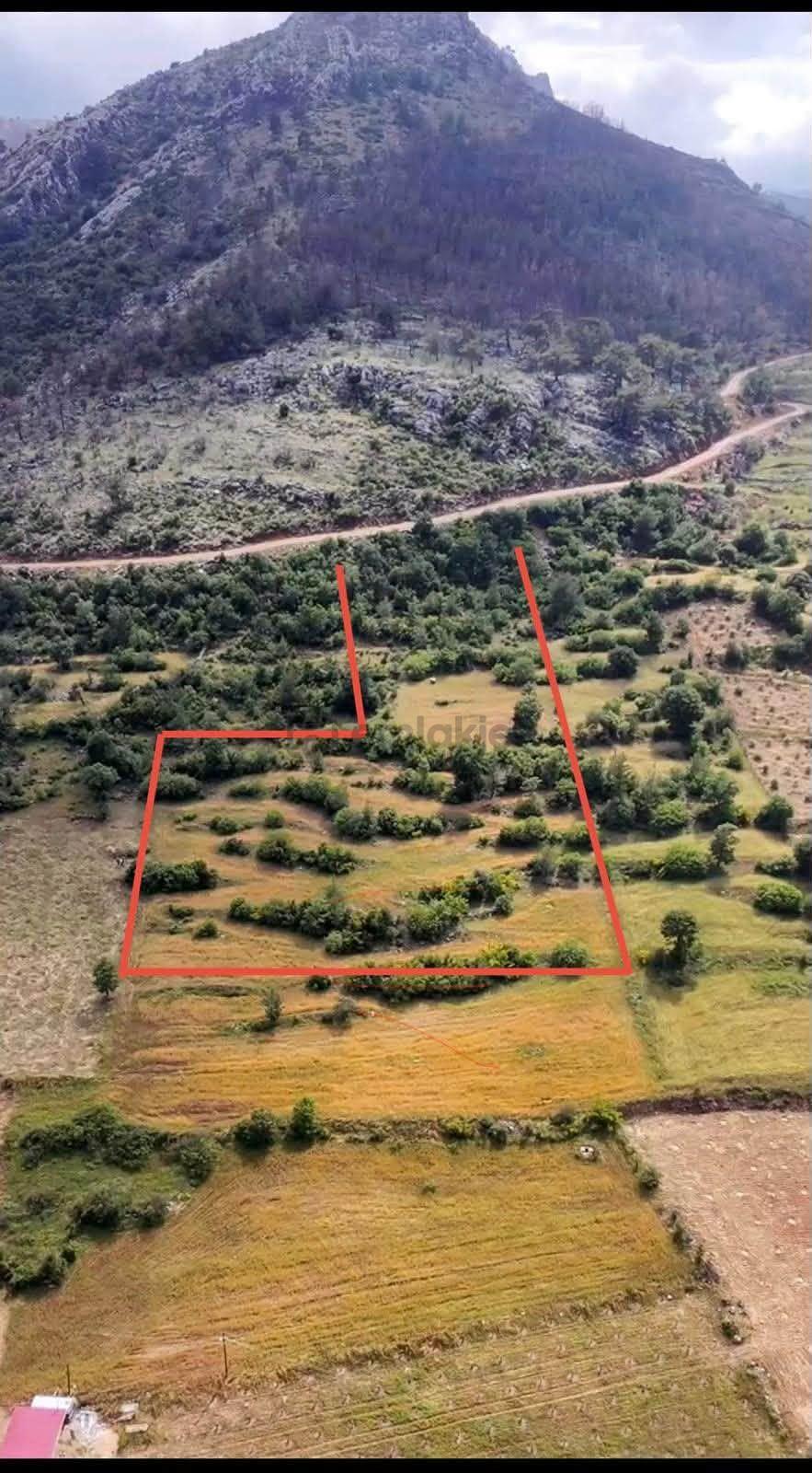 Silifke/imamuşağı Satılık 8.950m2 Tarla