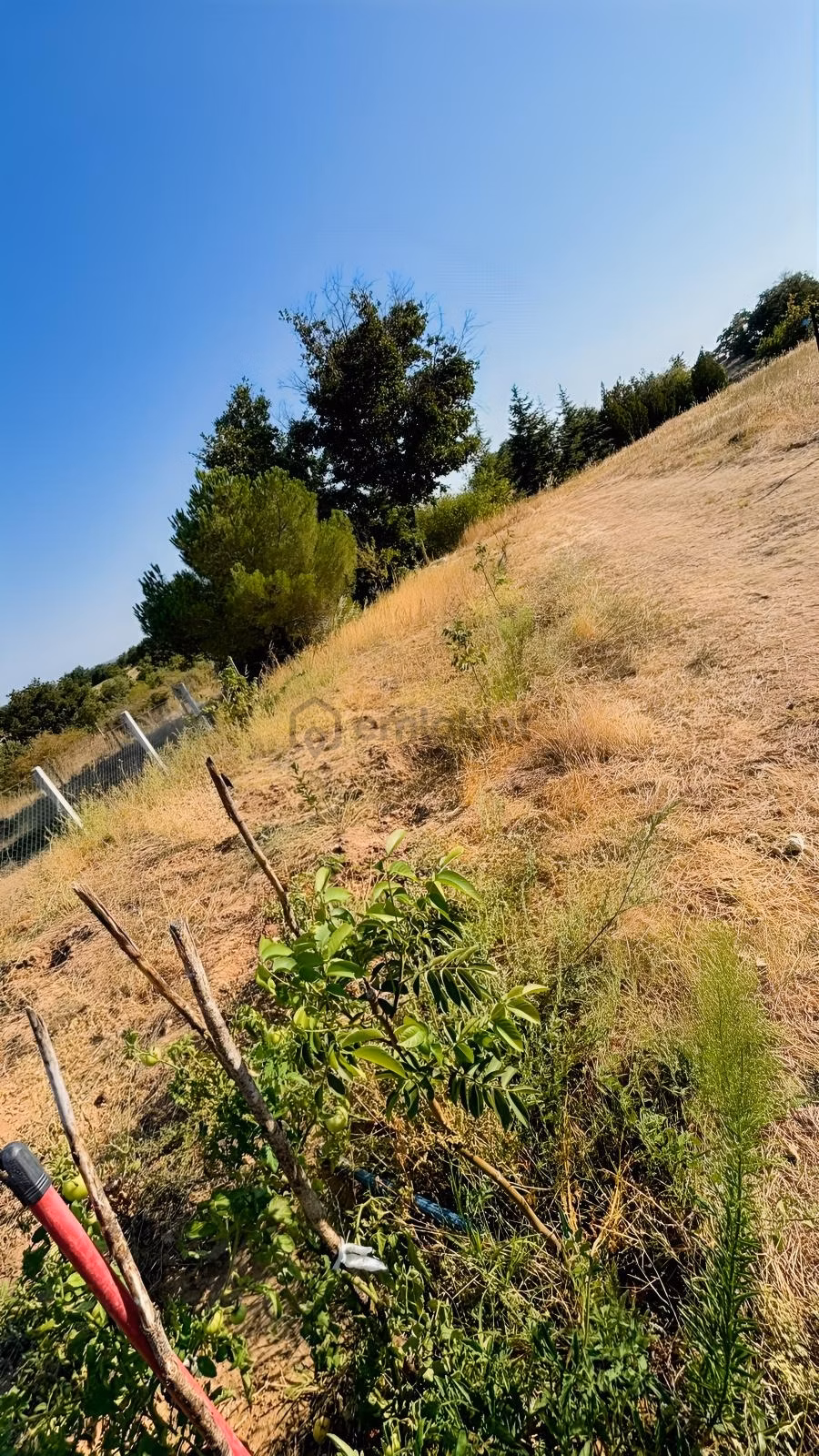 Satılık 3.500 M² Bağ Evi - 17