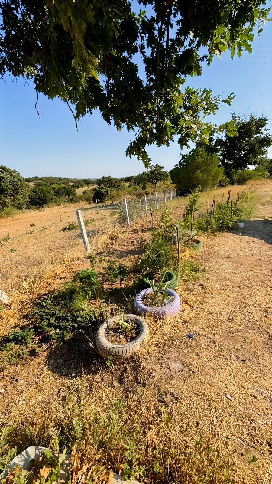 Satılık 3.500 M² Bağ Evi - 5