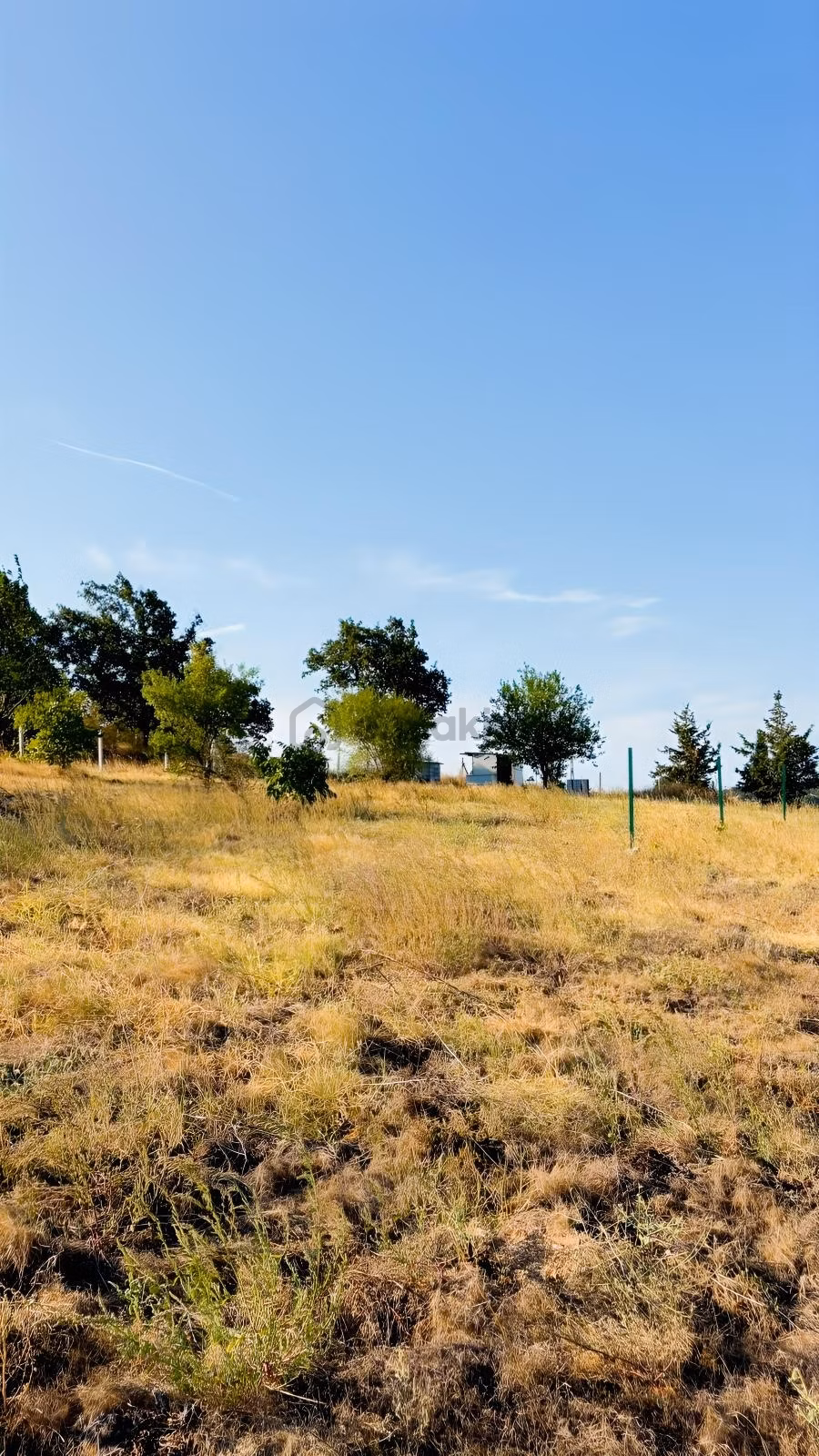 Satılık 3.500 M² Bağ Evi - 19