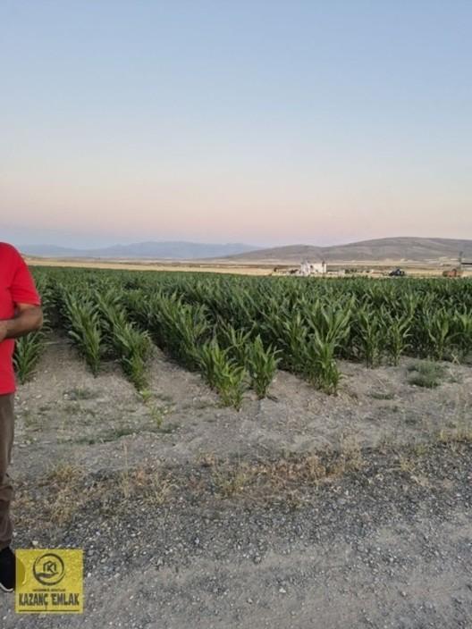 Bünyan Köprübaşın Da Satılık Tarla 8.800 M2 Tek Tapu - 16