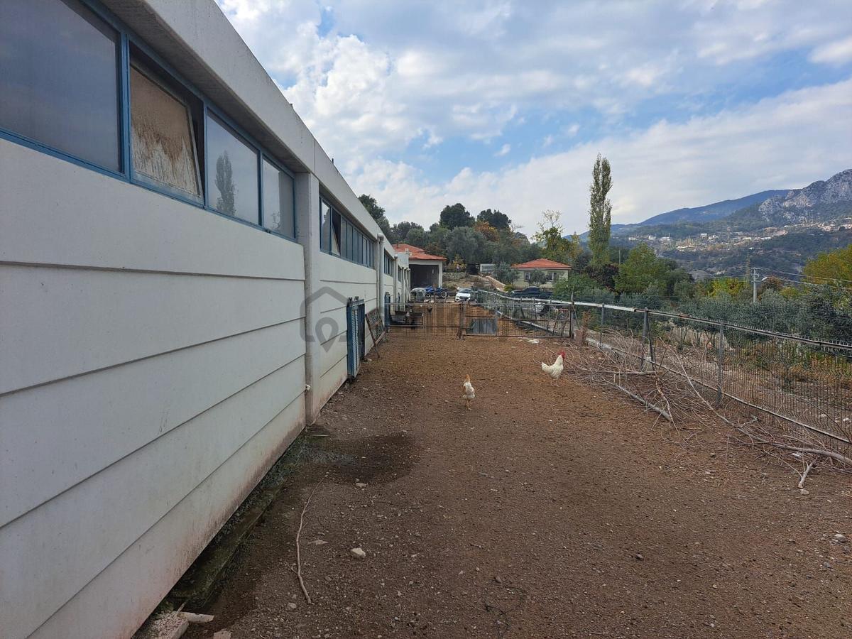 Ruhsatlı Ve Yapı Kullanım İzinli 1.500m² Hayvancılık Tesisi - 4