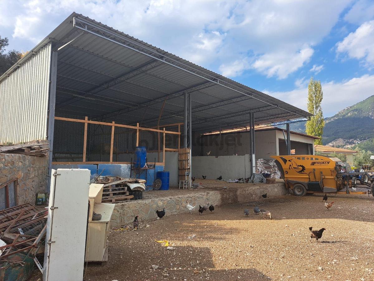 Ruhsatlı Ve Yapı Kullanım İzinli 1.500m² Hayvancılık Tesisi - 6