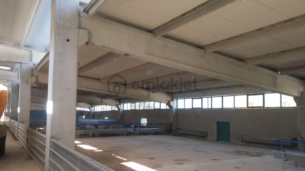Ruhsatlı Ve Yapı Kullanım İzinli 1.500m² Hayvancılık Tesisi - 19