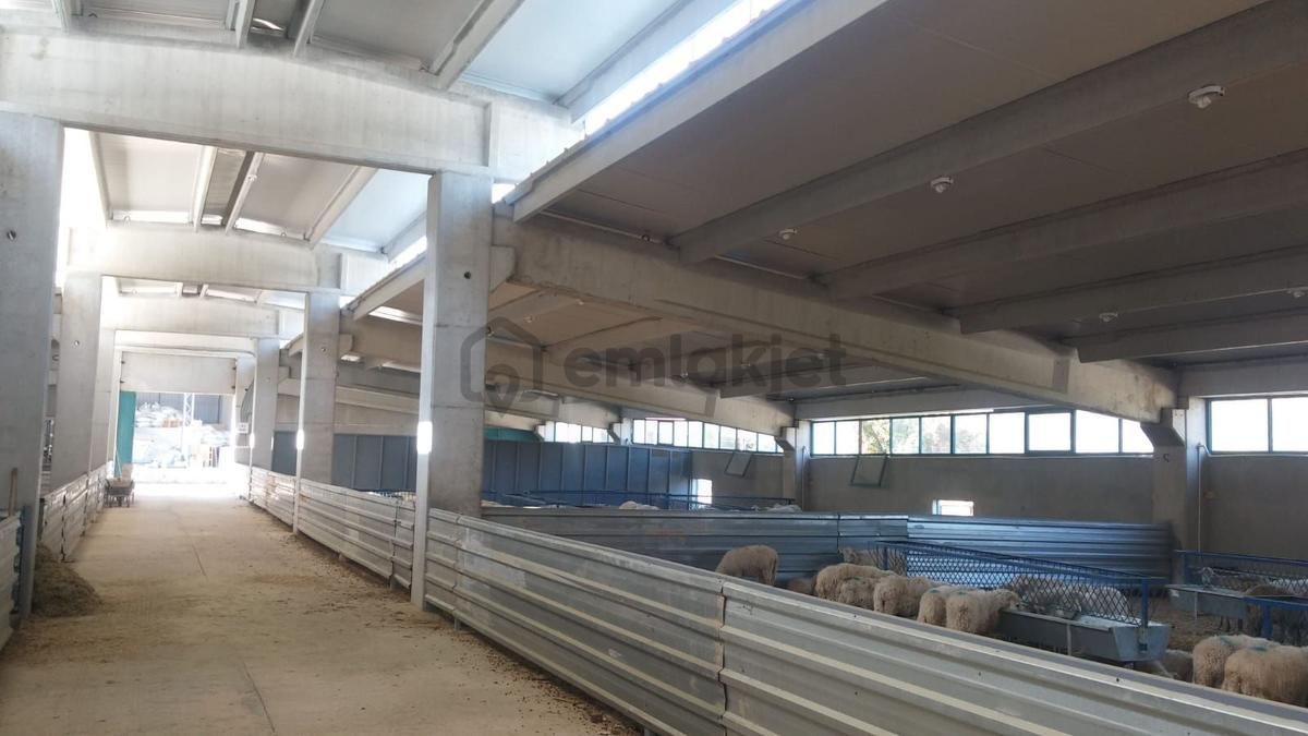 Ruhsatlı Ve Yapı Kullanım İzinli 1.500m² Hayvancılık Tesisi - 23